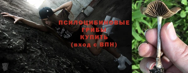кокс Абаза